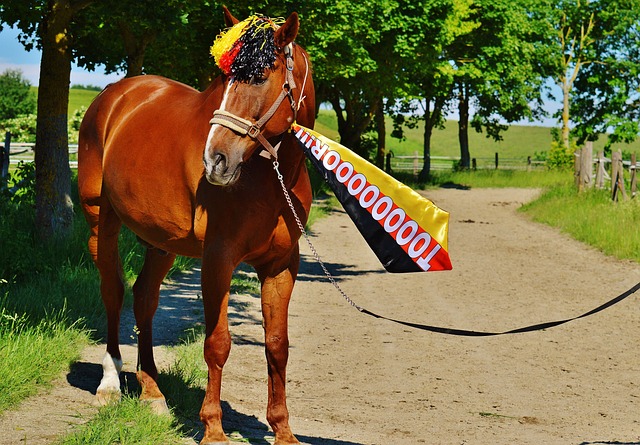 四川省滑翔 四川省滑翔