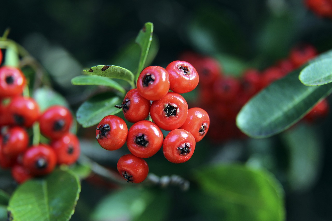 归因于其深 归因于其深