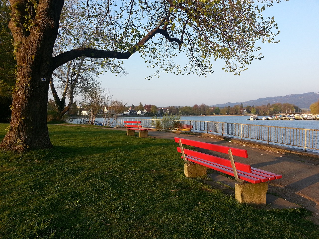 体病原体的 体病原体的