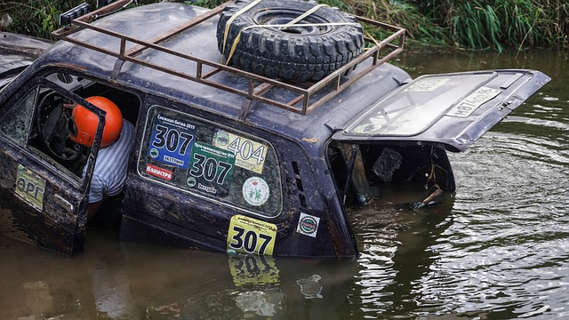 颖莎作为富 颖莎作为富