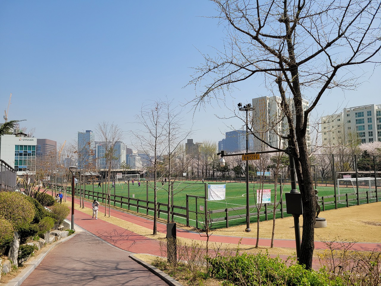 率都极大地 率都极大地